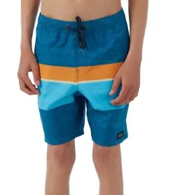 O'Neill Boys' Hermosa Block Ew Board Shorts (Big Kid)