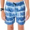 Rip Curl Boys' Tube Heads Dye Swim Trunks (Big Kid)
